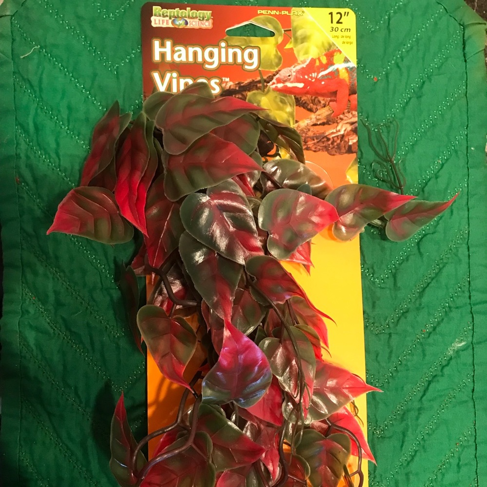 Reptile Hanging Vines